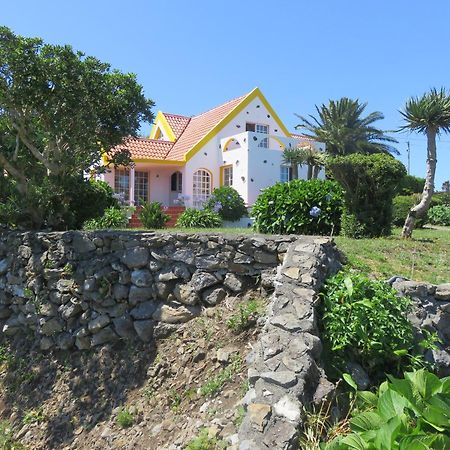 Villa Cedros Santa Cruz das Flores Kültér fotó