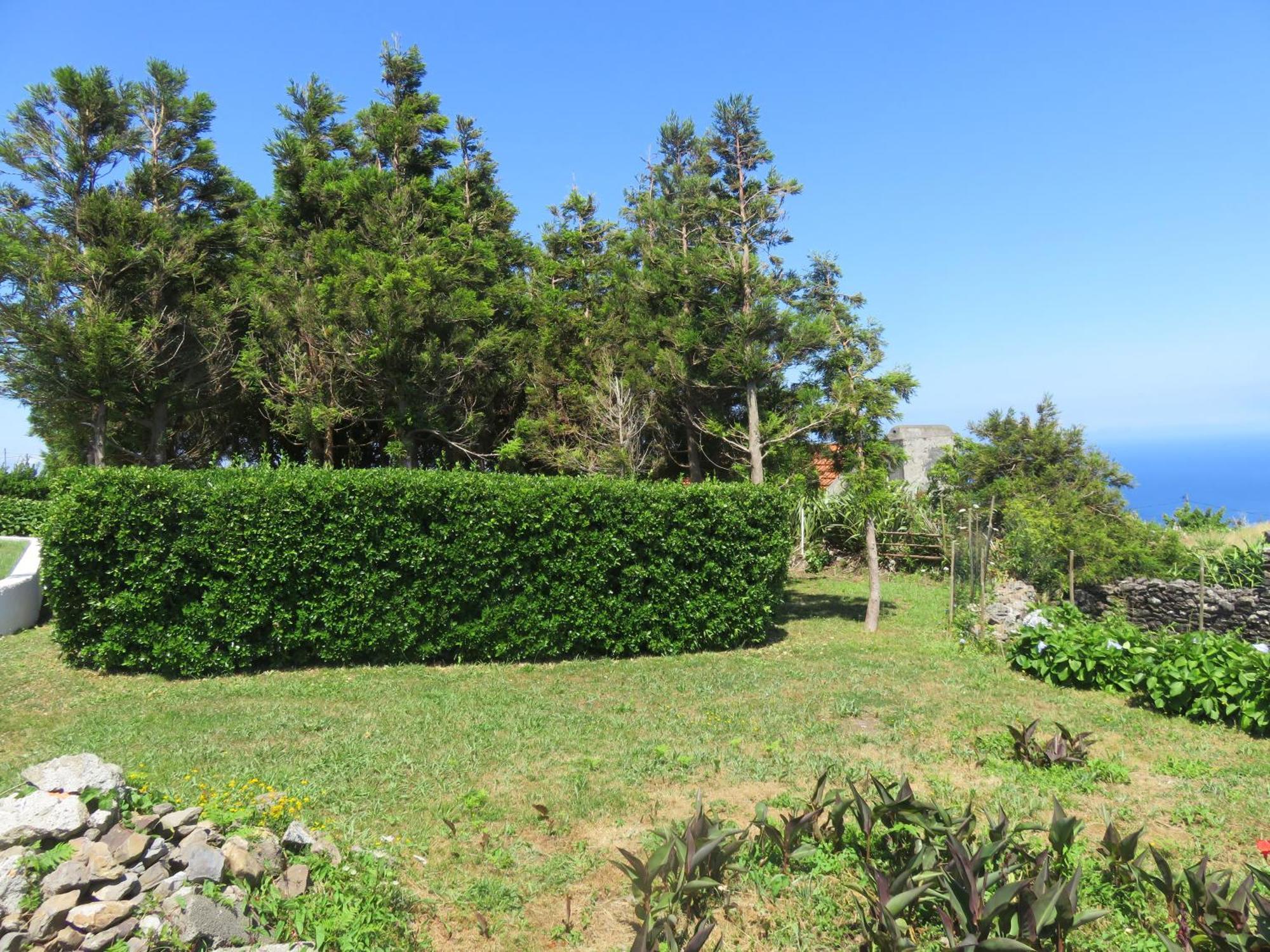 Villa Cedros Santa Cruz das Flores Kültér fotó